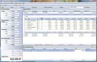 Click to see a larger image of the Project Summary tab